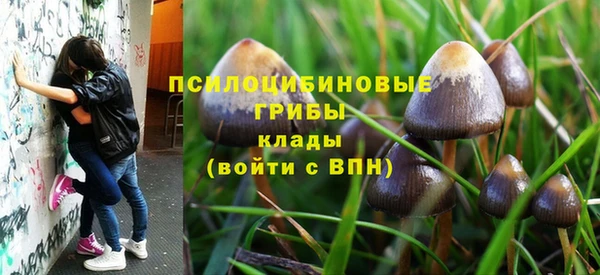 скорость Гатчина