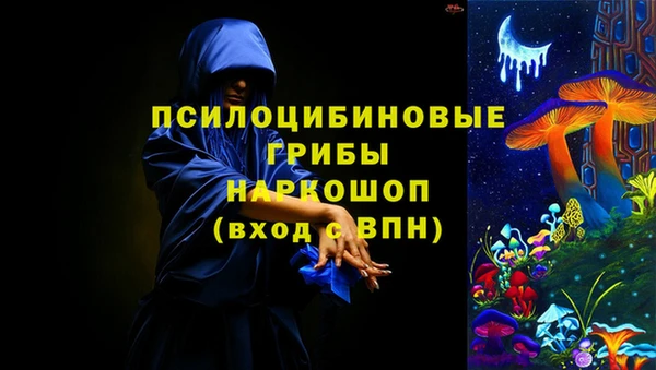ГАЛЛЮЦИНОГЕННЫЕ ГРИБЫ Алзамай