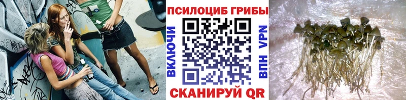 купить цена Чебоксары Галлюциногенные грибы мухоморы