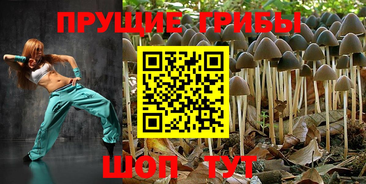 Чебоксары  Галлюциногенные грибы мухоморы  Вход с VPN 