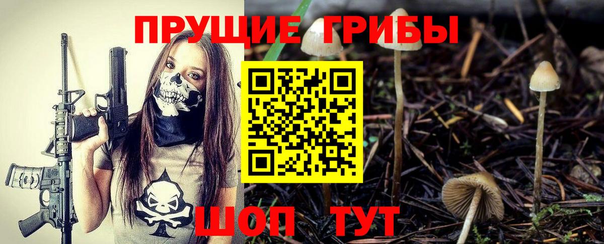 Псилоцибиновые грибы Psilocybe Чебоксары